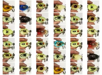 

36 pcs Unique Insect Resin Waterdrop Keychain Mixed Ant Scorpion Souvenir Gifts