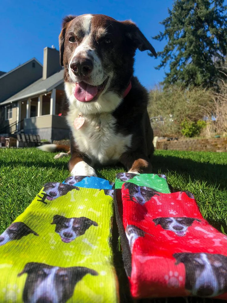 3D Printed Custom Dog Face Socks Personalized Dog Socks Custom Dog Birthday Gifts Dog Lover Socks Christmas Gift Women Men Sock