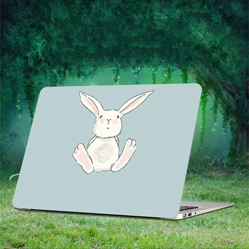 

Case for Huawei Matebook X Pro Notebook Cartoon Cute Hard Shell Laptop Cover for Huawei Matebook 13.9 inch MACH-W19,W29,W19C