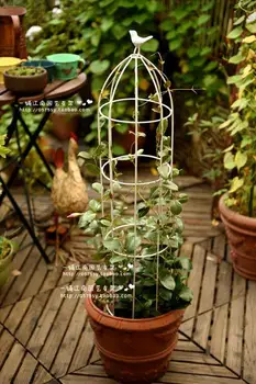 

Bird cage flower stand for clematis, flower stand, plant climbing frame, 1 m high, 19.5 cm in diameter