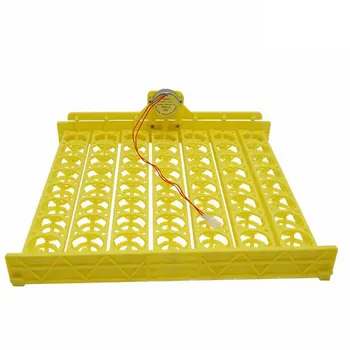 

High Incubation Rate Uniform Heating Bird Egg Incubator Automatic Egg Turning Hollow And Breathable Egg Tray