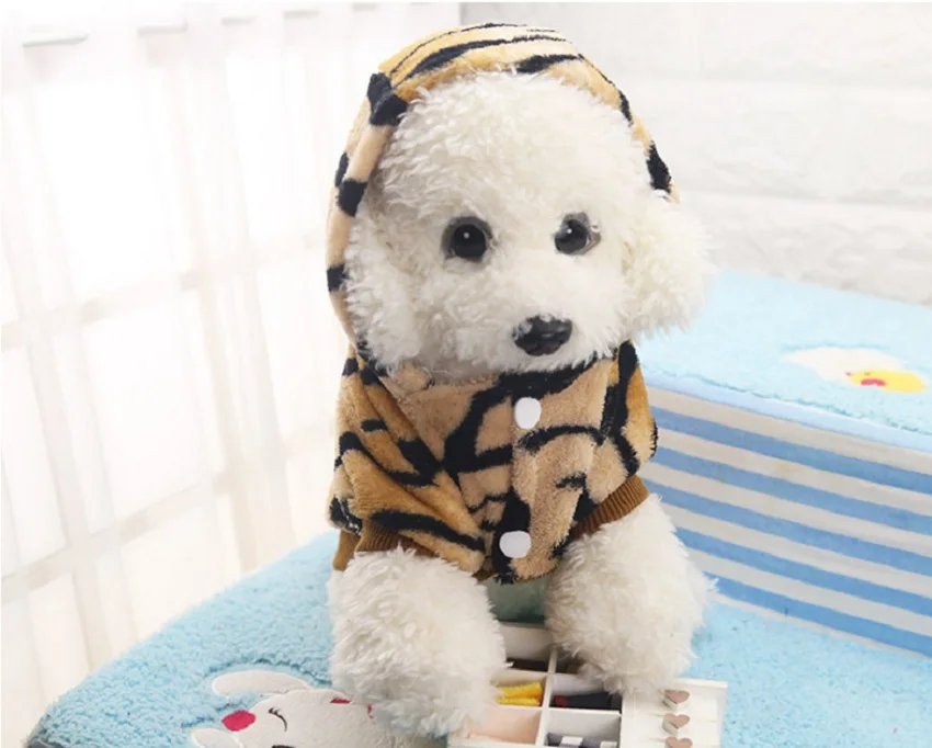 HTB1.fV0OXXXXXXmaXXXq6xXFXXXp