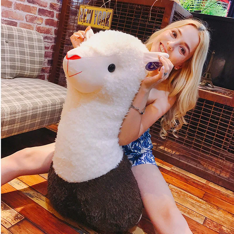 17346998957_1970644491