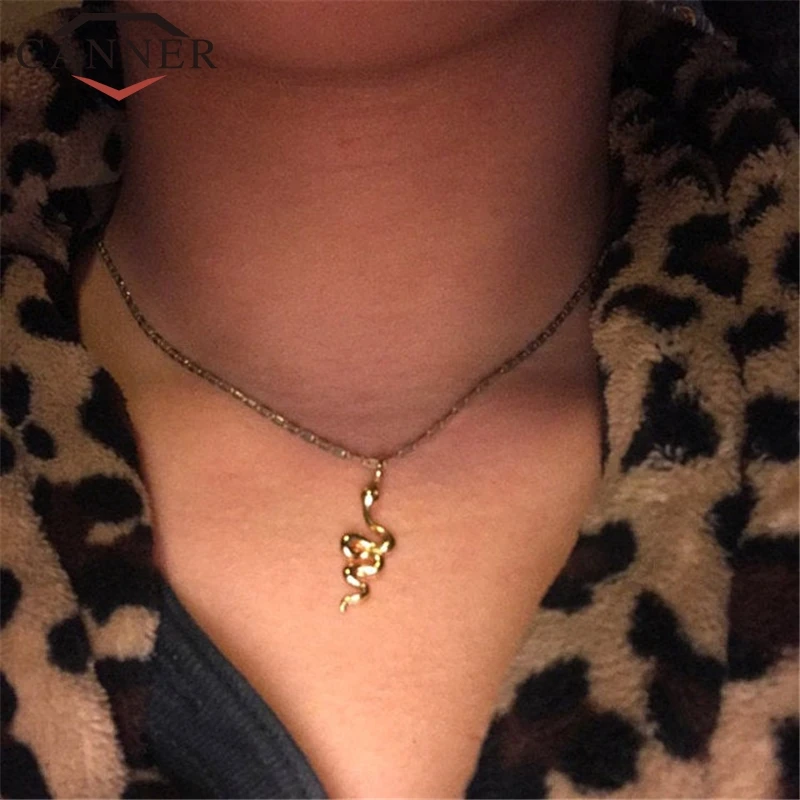 Simple 925 Sterling Silver Versatile Temperament Animal Snake-shaped Clavicle Necklace Women Gold Silver Pendant Necklace Gift - Image 6
