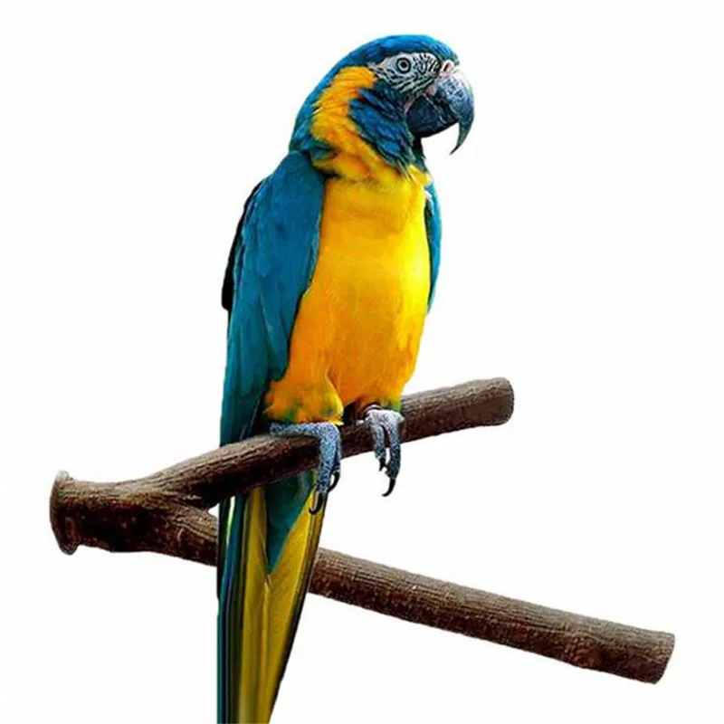 

Parrot Toy 1PC 15cm Natural wood stand Pet Raw Wood Fork Stand Rack Toy Wooden Hamster Perches for Bird Cage Toys