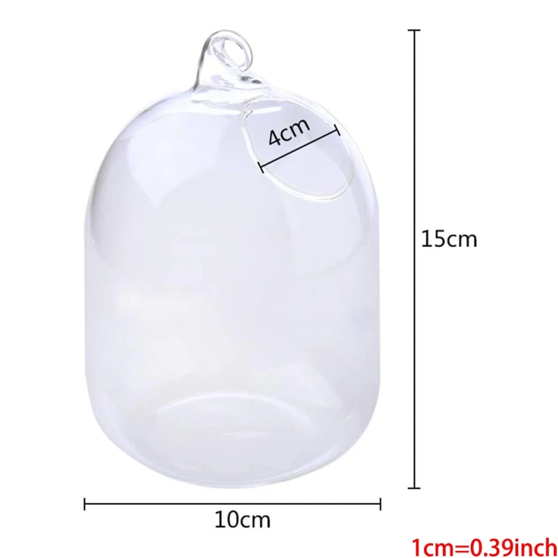 Suspended Transparent Hanging Glass Fish Tank Infusion Bottle Aquarium Flower Pl D0AC