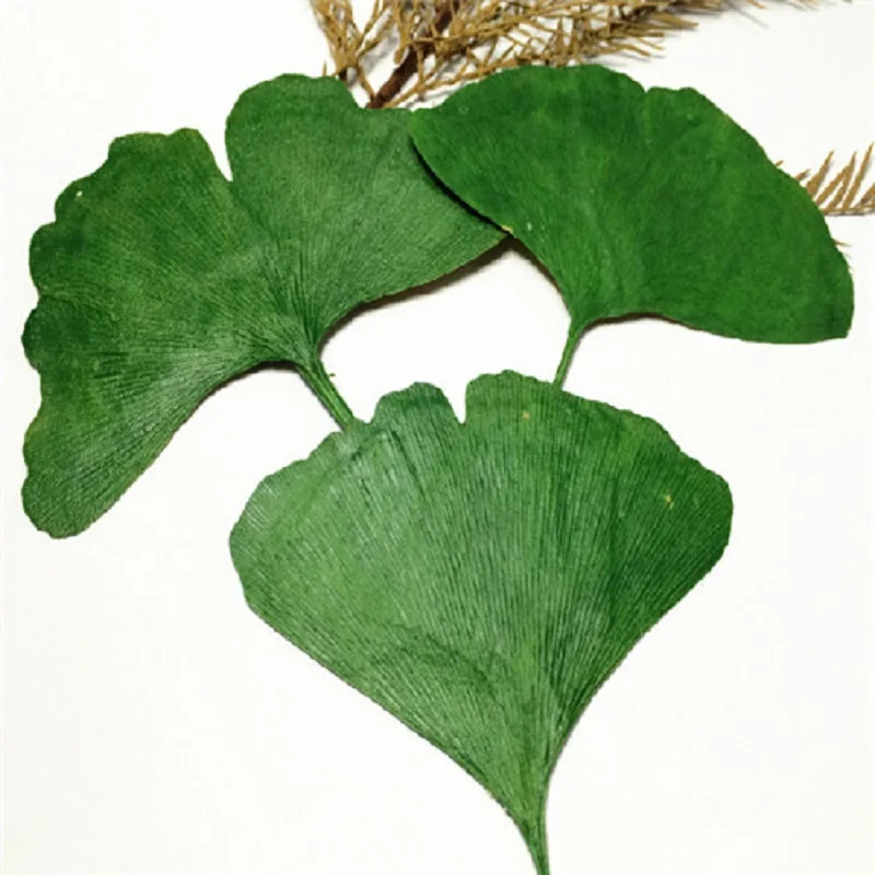 TB2noettpXXXXXKXXXXXXXXXXXX_!!70464187