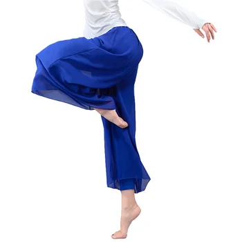 

Chiffon Ballet Pants Transparent Wide Leg Modern Dance Mesh Ballet Practice Pants