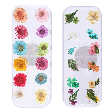 

Dried Flowers for Nails Leaf Starry Sky Foil Nail Art Designs Manicure Tips Wraps Transfer Stickers for Women Fingernails DIY