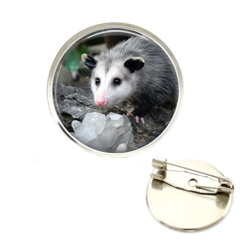 Симпатичные Opossum мышь на заказ фото стеклянный конусообразные Броши день