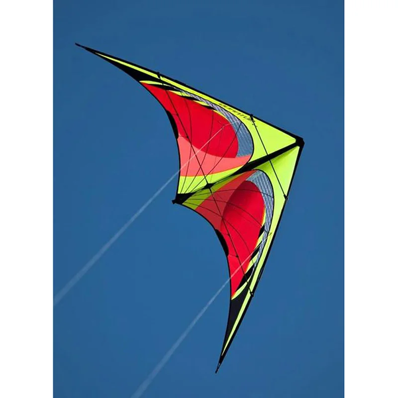 Outdoor Toys Large Delta Kites Tails With Handle For Children Kites Nylon Ripstop Albatros Kite Factory Direct 4
