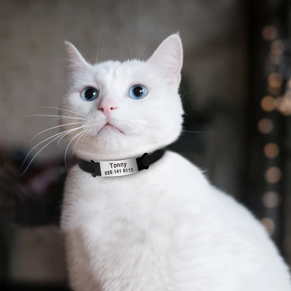 Quick Release Cat Collar Custom Nylon Puppy Kitten ID Tag Nameplate Collars Safety Breakaway Collar For Small Cats Adjustable Quick Release Cat Collar Custom Nylon Puppy Kitten ID Tag Nameplate Collars Safety Breakaway Collar For Small Cats Adjustable