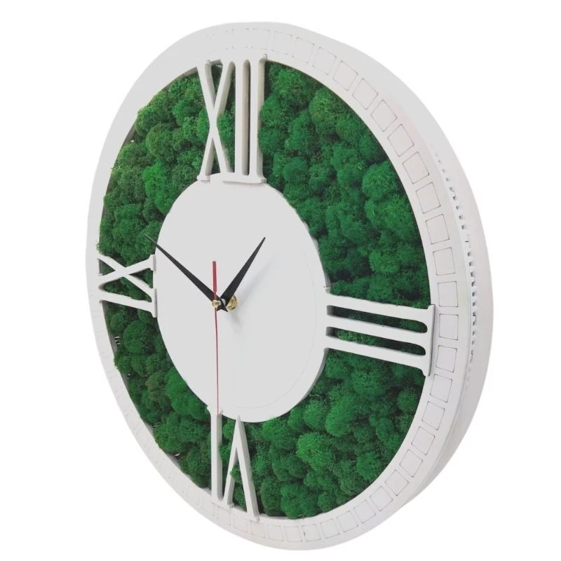 Часы настенные со мхом. &quotВашингтон&quot. Диаметр 40см цвет белый. | Дом и сад