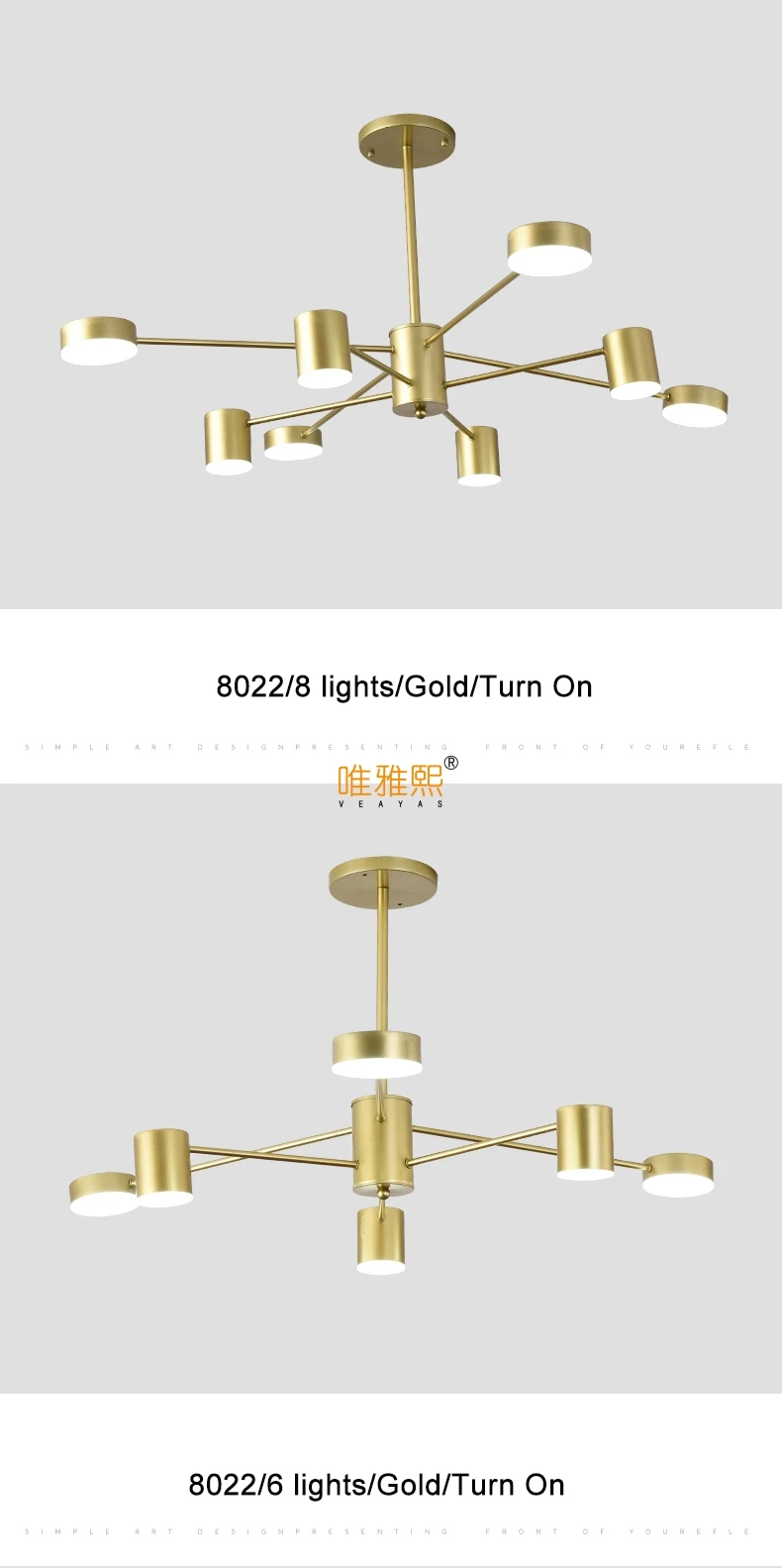 LX-8022 (8)