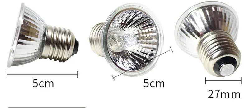 11033461720_51623344 (2)