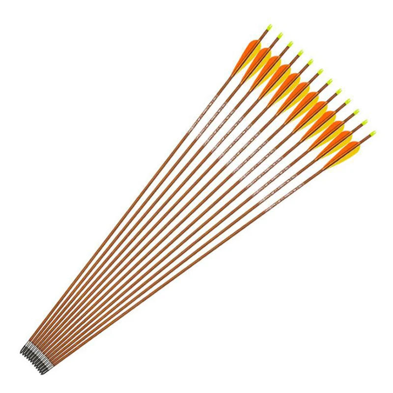 

Spine 700 Carbon Arrows Wood Skin 12pcs Hunting ID 5.2mm Arrows Hunting Turkey Feather For Compound Recurve Traditional Bow