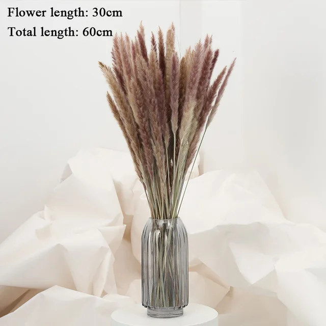 Lot 20Pcs Natural Dried Flower Pampas Grass Reed Bunch Wed Home n Bouquet S9C8