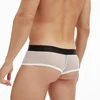 Cachetero Low Waist Shiny Mesh 5