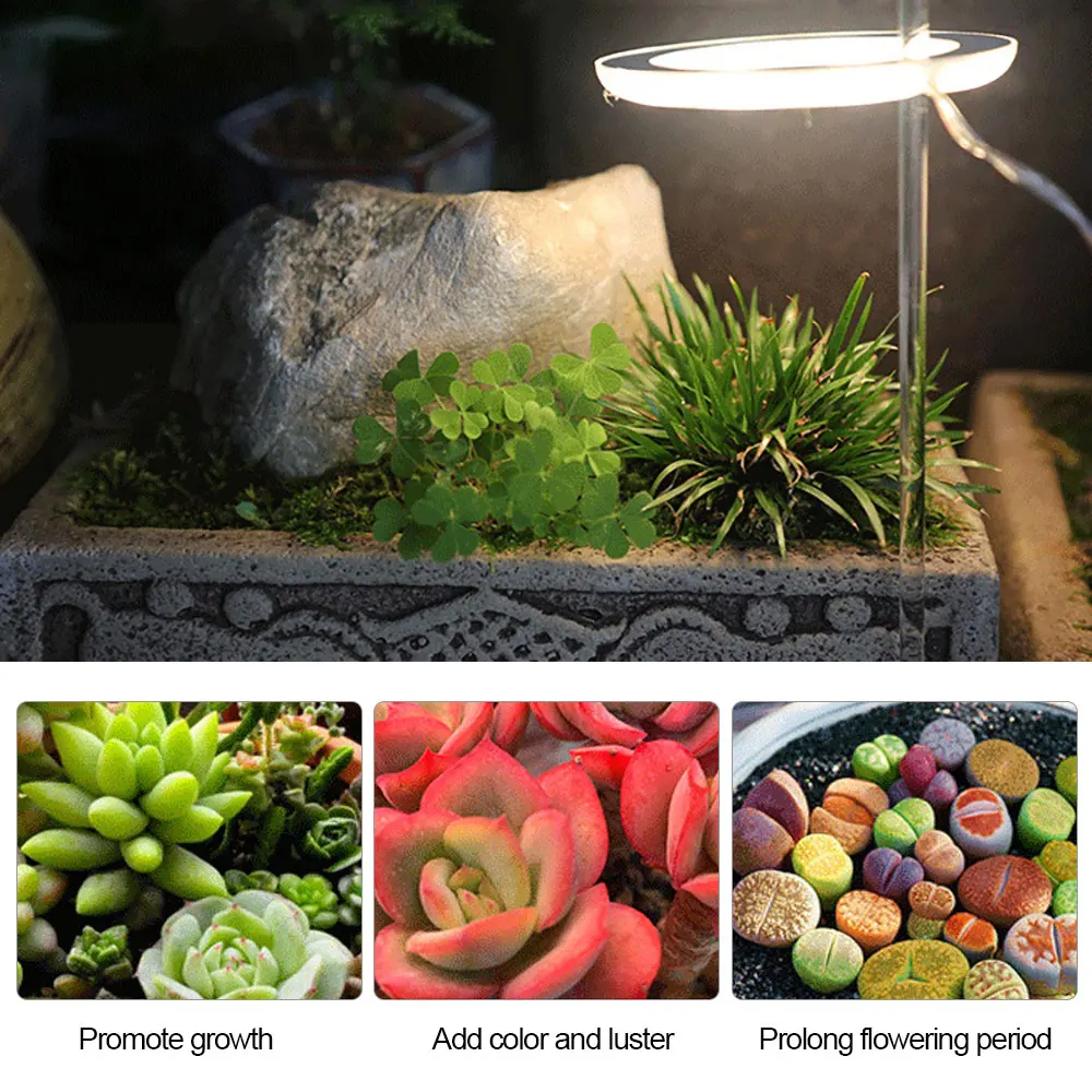 5V LED USB Angel Ring Plant Grow Light Sunlike Indoor Flower Succulet Greenhouse Succulent Full Spectrum Phyto Growth Lamp