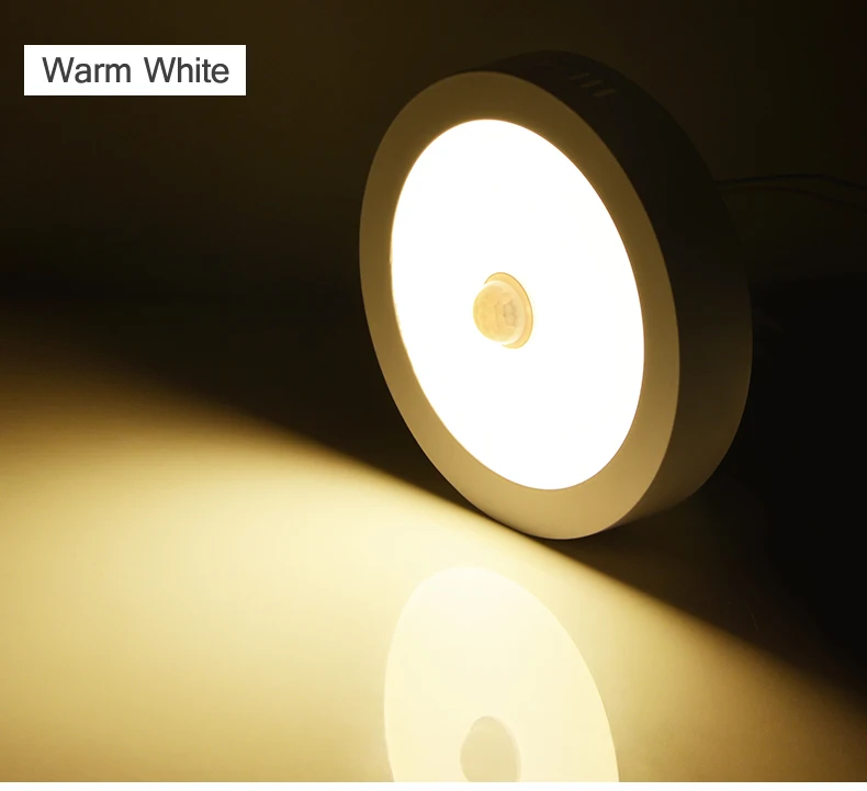 110V 220V Ceiling Lamp PIR Motion Sensor Ceiling Light led lamp lampara techo led light fixture room hallway stairs bathroom