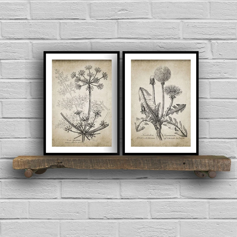 Set 4 Quadri Botanici Su Tela Incorniciata – 20x25 Cm, Stampe Con Foglie Di Eucalipto, Stile Boho Per Soggiorno - 4
