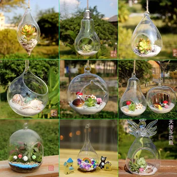 

creative levitation moss Micro landscape plant pot planters for succulents Glass vase DIY potted Desk furniture Home decoration