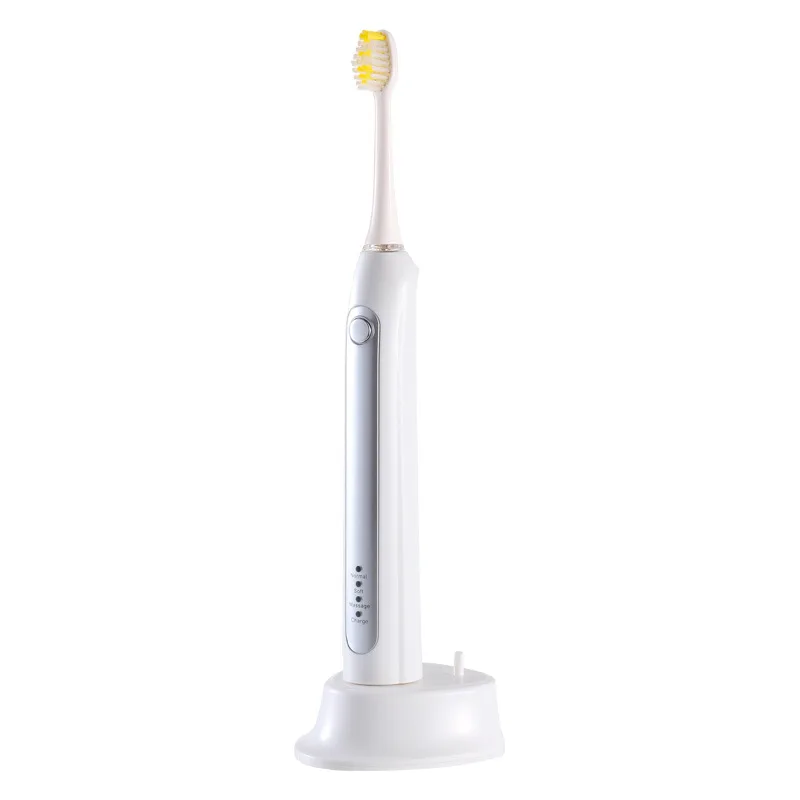 electric toothbrush induction charging sound wave vibration toothbrush pasted