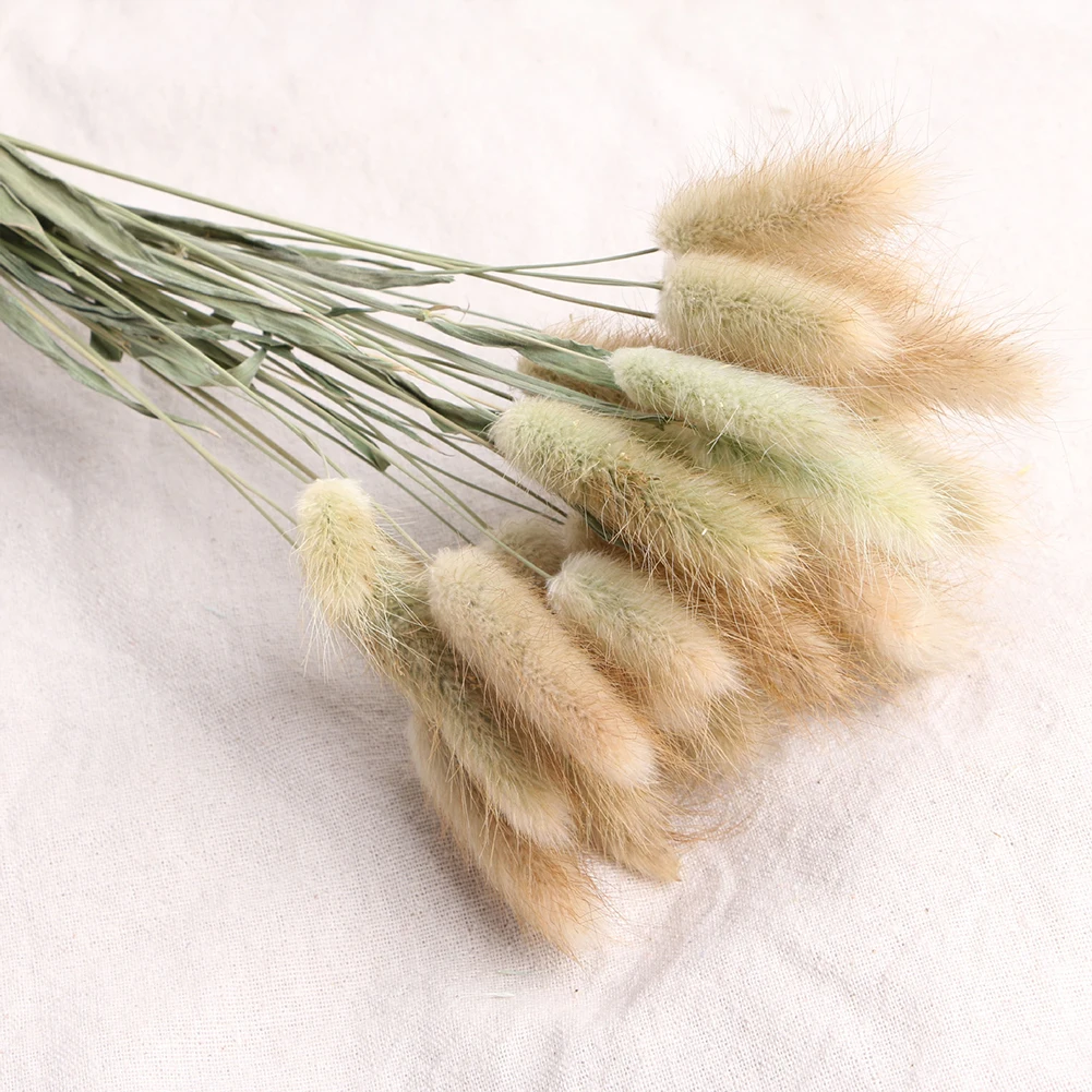 30pcs Rabbit Tail Grass Bouquet Eco Friendly Wedding Dried Flower Florist Photo Props Lagurus Ovatus Natural Gift Home Decor