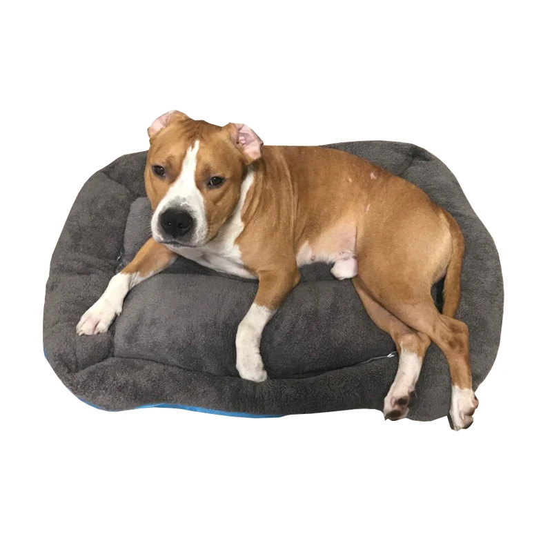 U8a085814d51b46faa15e8e58c8355a5fL(1)