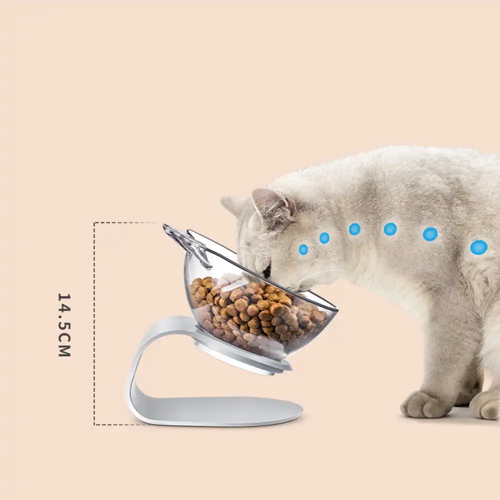 Non Slip Single Cat Bowl With Raised Stand Transparent Dog Bowls