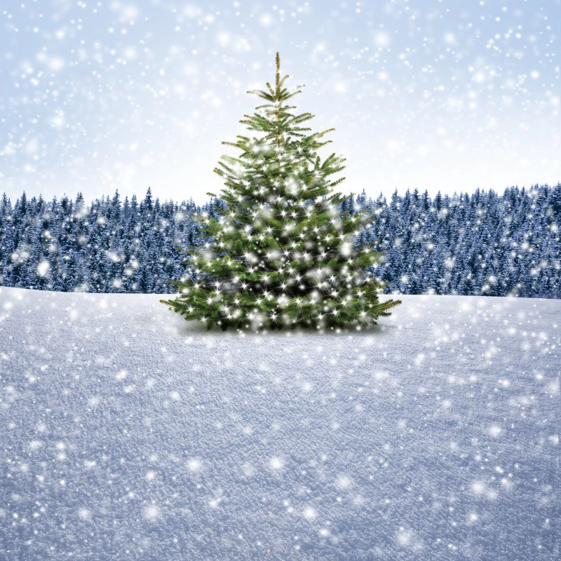 

Vinyl Christmas Backdrops Winter Pine Forest Tree Shiny Star Snow Baby Kid Party Portrait Photographic Background Photocall