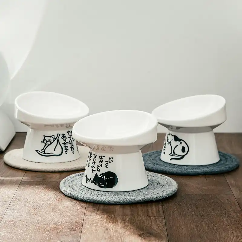 elevated ceramic cat bowls