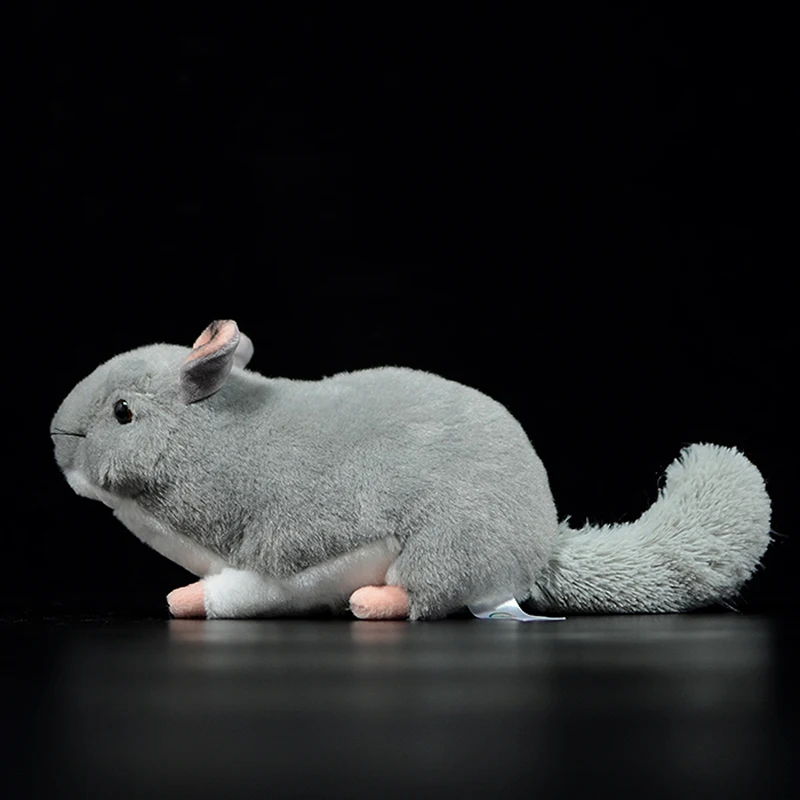 Милые Chinchillidae Chinchillas lanigera Molina настоящая жизнь плюшевые игрушки мягкие куклы реалистичные животные Дети каваи Рождественский подарок