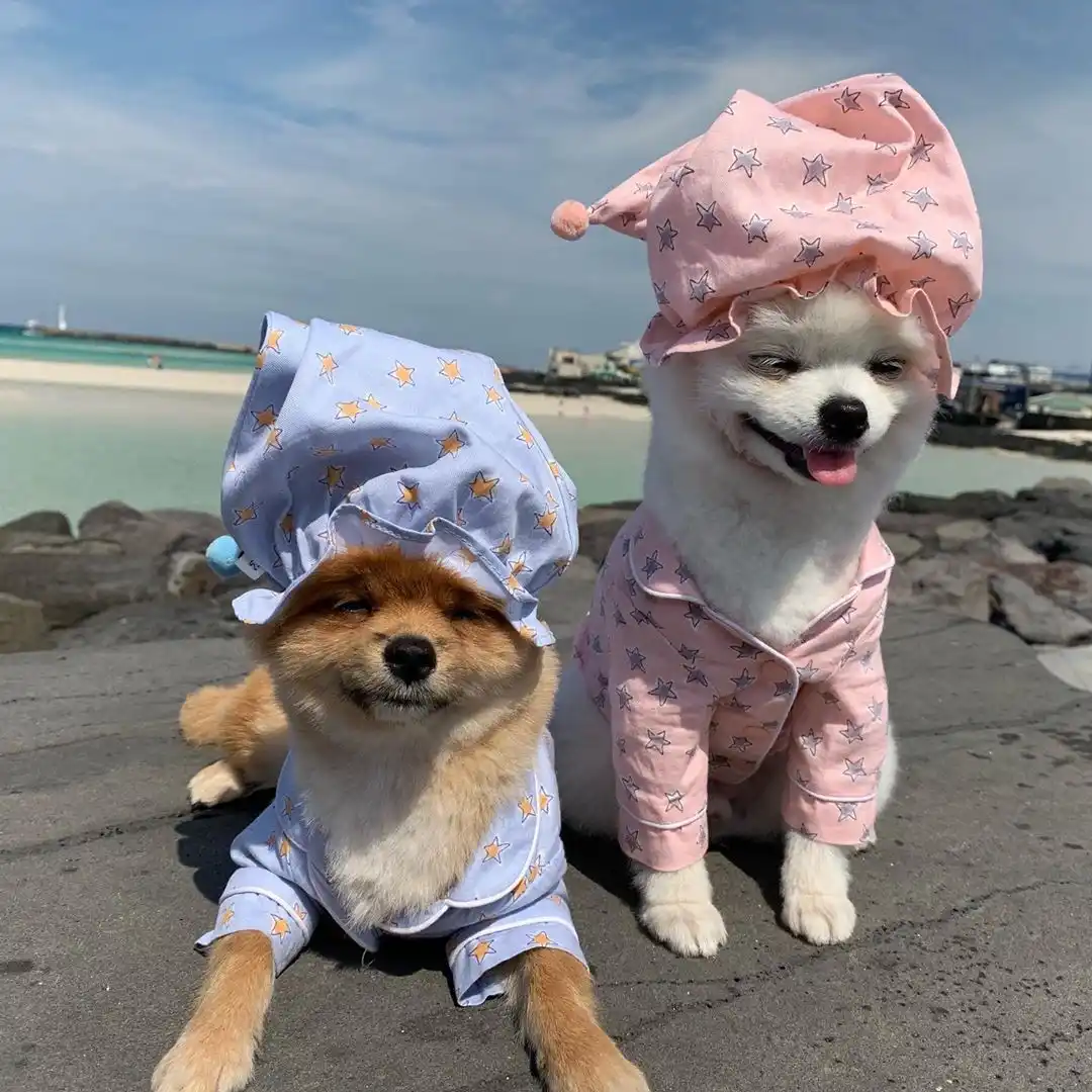 ペット犬服送信帽子ブルースターウォームコットン犬のトラックスーツパジャマジャケットかわいい犬服puppuyため小中犬chihuahu 犬用のコート ジャケット Aliexpress