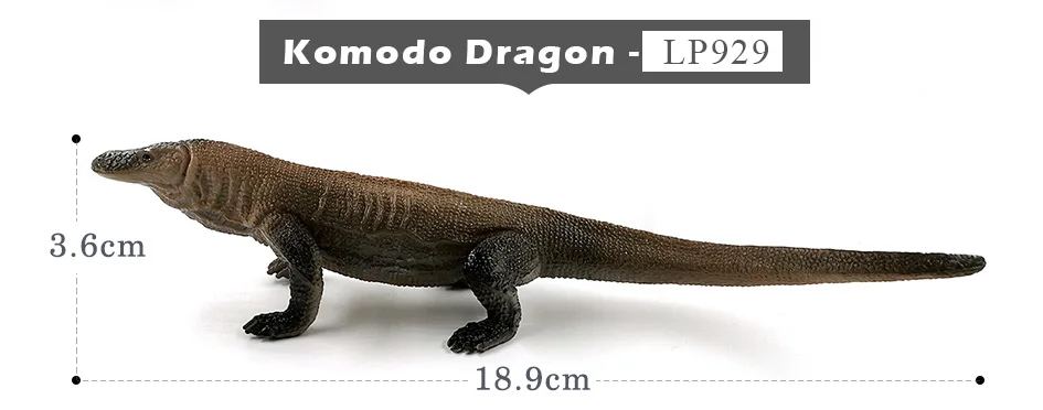 详情页-23款-黑冠猕猴-小树懒等_05