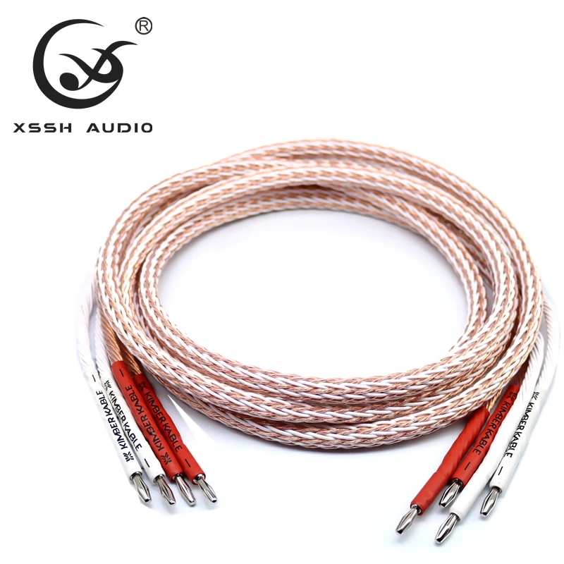 XSSH-   DIY HIFI ǹ  Y  ̵, ٳ ÷, 12TC 24 ھ Ŀ ̺ ڵ ̾