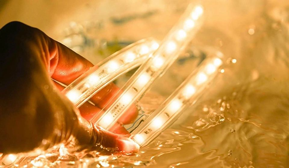 TB2ajvyC1OSBuNjy0FdXXbDnVXa_!!169569034_副本