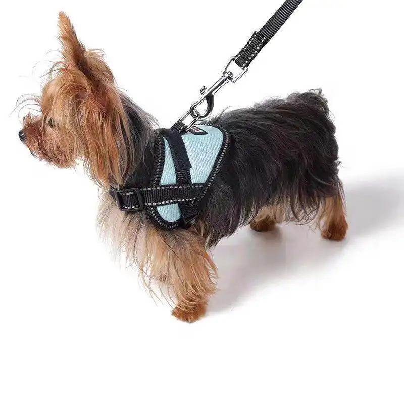Blue with rope CONG FEE регулируемый нагрудный жилет для домашних животных поводок для собак ошейники для домашних животных нагрудный ремень для спины - Цвет: Blue with rope