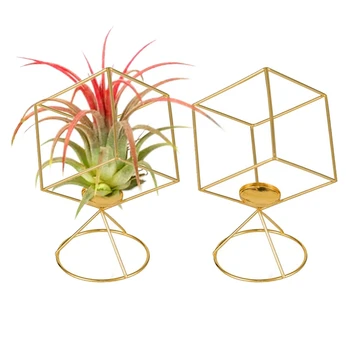 

2 Pack Air Plant Holder Tillandsia Air Plants Stand Hanging Containers Display Racks for Gift Idea