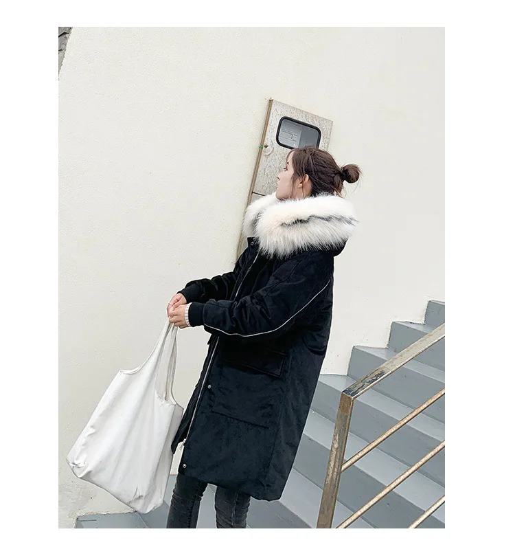  pleuche cotton1_18.jpg