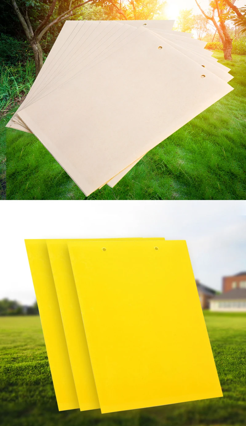 O1CN01RMhBHR248W0nI18gu_!!3501847346