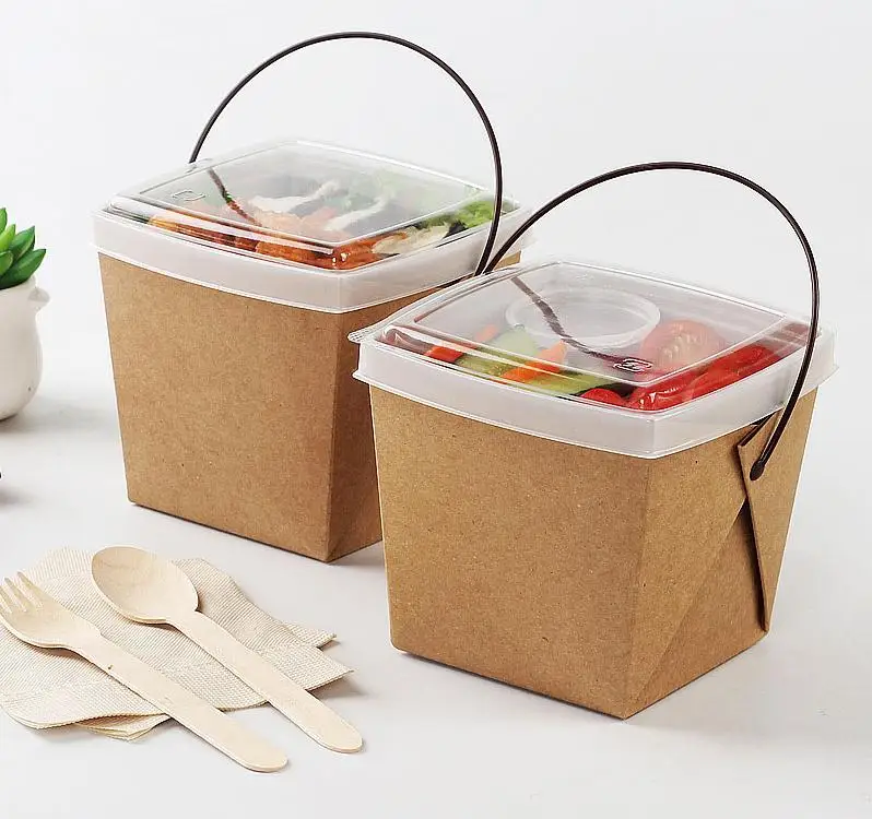 Disposable Lunch Box with Handle with Button Snap Closure