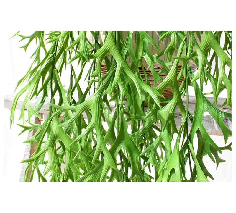 9614077195_919998717