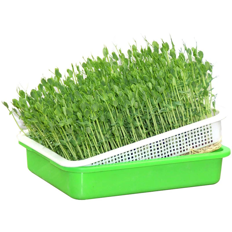 

32.5 *26 *11.5cm Seed Sprouted Tray Grow Box BPA Free PP Bean Sprout Grower Seedlings Germination Tray Sprouting Kit Garden Home