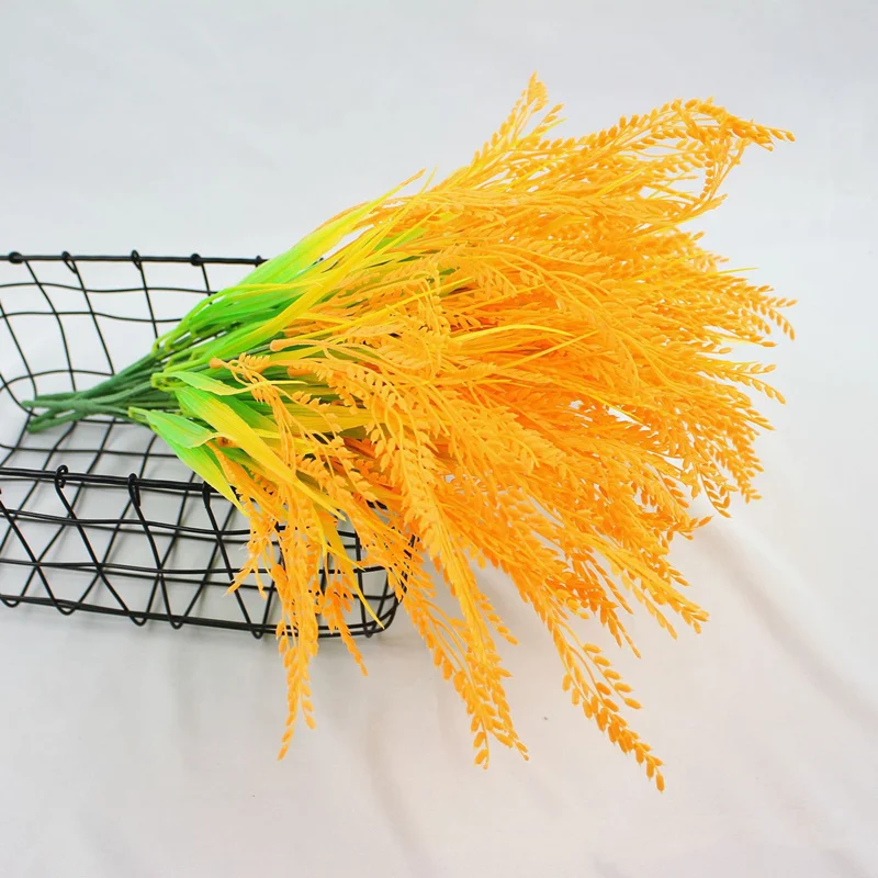 12748714135_2032011975