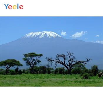 

Africa Kilimanjaro Mountain Background Landscape Savannah Backdrop Photography Custom Photographic Background For Photo Studio