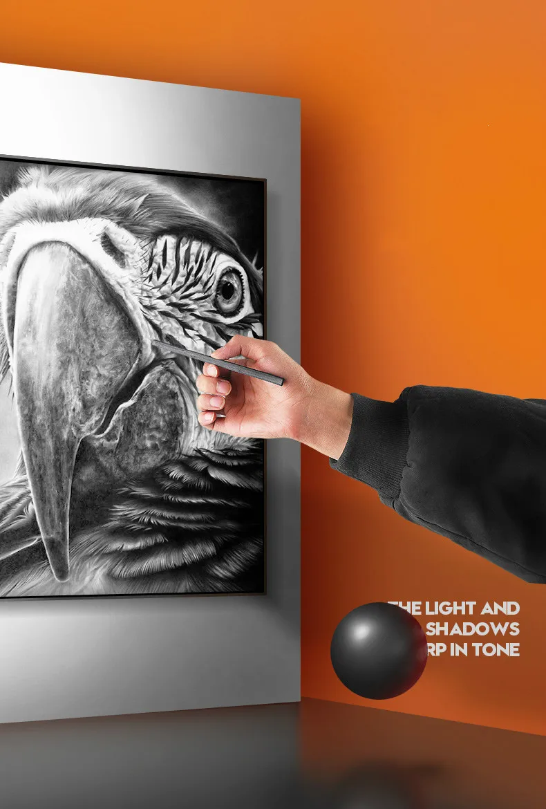 Marie's угольный карандаш Dibujo Профессиональный 15 шт. B эскиз Угольные карандаши Carboncillos Para Dibujo Lapices Dibujo профессиональный