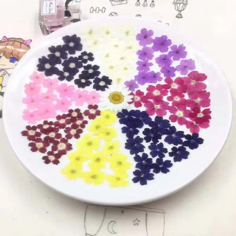 

60 шт. прессованный высушенный цветок, гибрида вербены, гербарий из растений для ювелирных изделий, открытка, визитница, чехол для телефона, ремесло, сделай сам