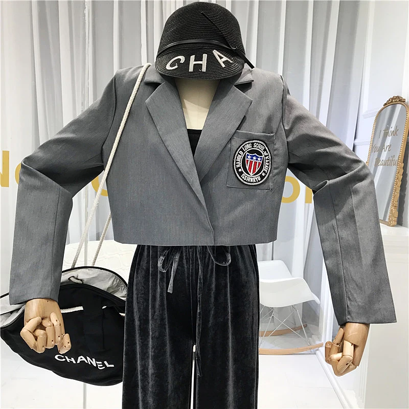 Осень новые модные женские брюки элегантные черные/серые/коричневые брюки женские высококачественные бархатные Свободные повседневные брюки