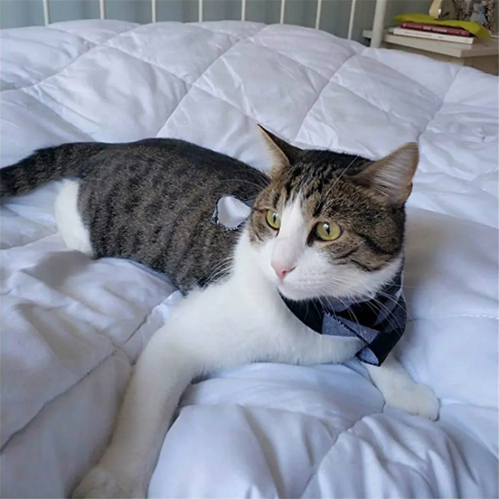 Pet Supplies Cat Accessories Pet Dog Cotton Ties Dog Bandanas Large Pet Scarf Washable Bow Ties Collar Pet Grooming Accessories (8)